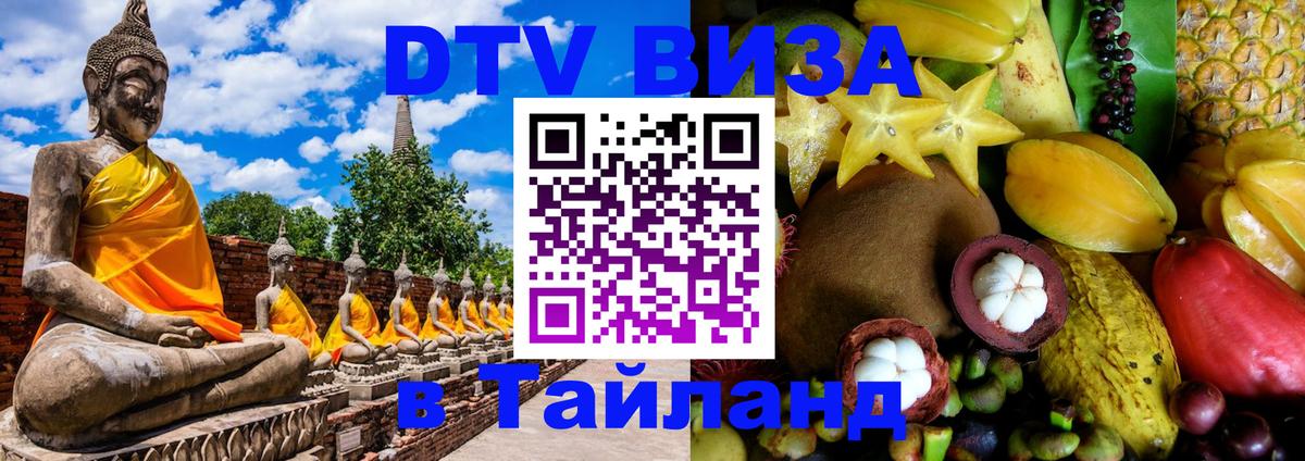 Оформление DTV визы под ключ: стоимость и тарифы, только загранпаспорт - 04.10.2025 